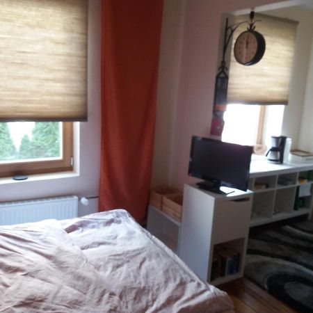 Pensionszimmer Luetzowzimmer 吕贝克 外观 照片